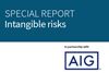 SR_web_specialreports_Intangible risks