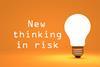 new thinking in risk 15