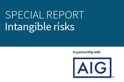 SR_web_specialreports_Intangible risks